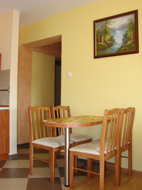 Apartamenty Krynica Zdroj Værelse billede